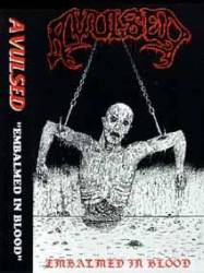 Avulsed : Embalmed in Blood